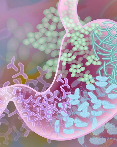 Estudio de Microbiota